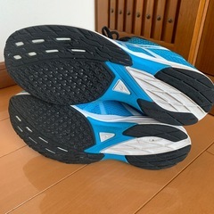 LYTERACER4 ライトレーサー4 ランニングシューズ 25.5㎝の画像