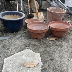 植木鉢　いろんなサイズの画像