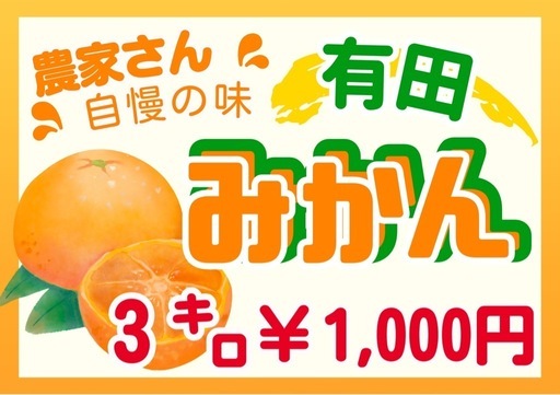 有田みかん　農家さんより直送　350k １キロ200円　別途配達可能