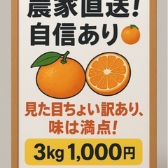 有田みかん　農家さんより直送　350k １キロ200円　別途配達可能の画像