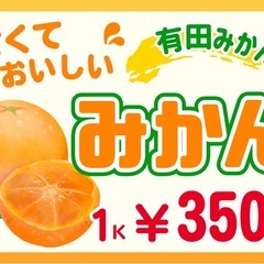 有田みかん　農家さんより直送　350k １キロ200円　別途配達可能の画像