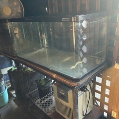 水槽90cmの画像