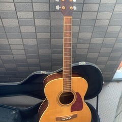 ibanez アコースティックギターの画像