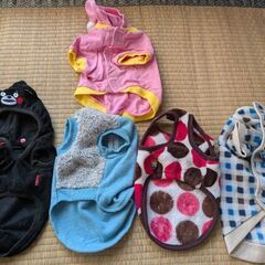 小型犬用　洋服　秋冬物　中古品　5点セット　Sサイズ　2号の画像