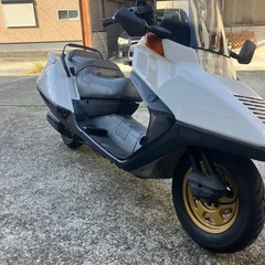 エンジン始動動画あり　堺市堺区フュージョン250の画像