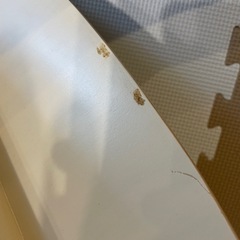 可愛いローテーブルの画像