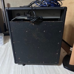 Roland GA-30 アンプとYAMAHA O.F.C. NOISELESS CORDの画像