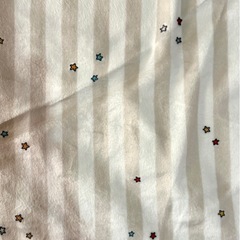 ZARAHOME スヌーピー  ブランケットの画像