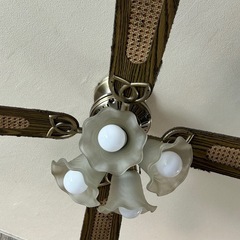 シーリングファンの画像