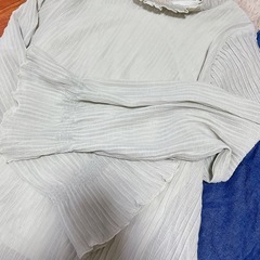 レディーストップスの画像