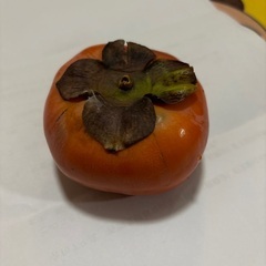 本日取りに来られるかた甘柿1つ（柔らかくなってきているため）の画像