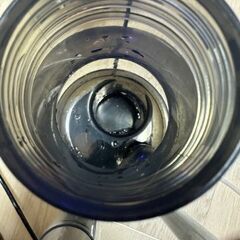 海道達磨　プロテインスキマーの画像