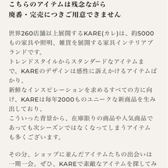 【美品】廃番商品 KARE Picture Frame Art Diva マリリンモンローの画像