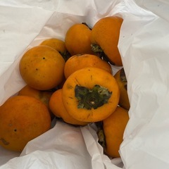 お話中★甘柿・渋柿の画像