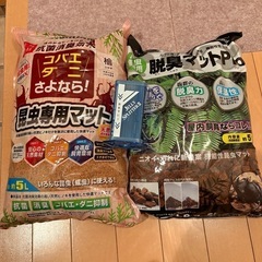 オオクワ　ギラファ　タランドゥスの画像