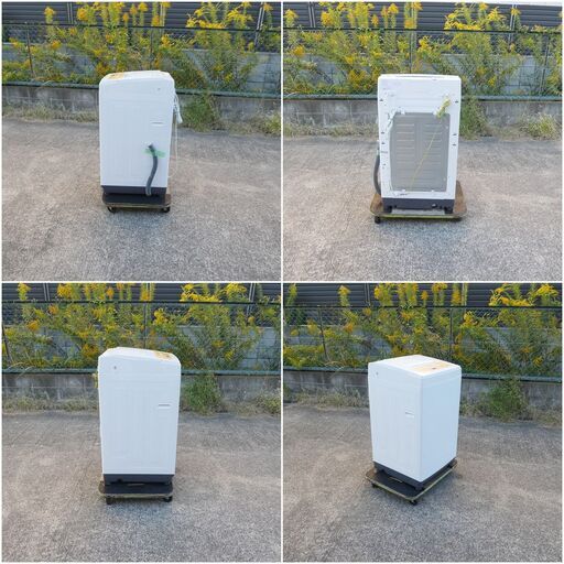 アイリスオーヤマ  洗濯機　IAW-T502EN  5.0kg  2021年製