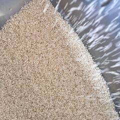 新米お米　中米白米　彩のきずなの画像