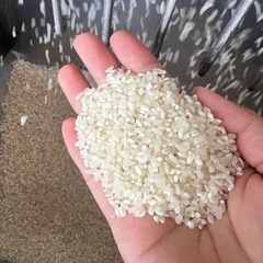 新米お米　中米白米　彩のきずなの画像