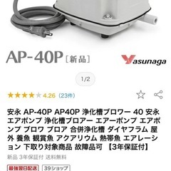 錦鯉　野外飼育一式プラス(錦鯉10匹)の画像