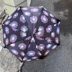 レディース 長傘 3本セット まとめ売りの画像