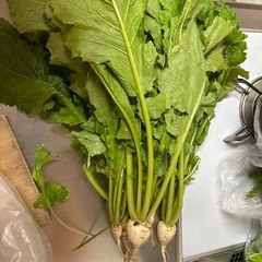 早い者勝ちです。聖護院かぶらの抜き菜❤️45リットル袋に満杯の画像