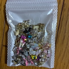 爪飾りいろいろの画像