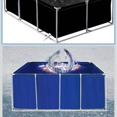 錦鯉　野外飼育一式プラス(錦鯉10匹)の画像