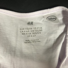 エルサのワンピースの画像