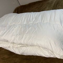 ★無料配達★ニトリ 掛け布団 セミダブル の画像