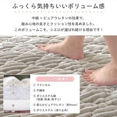 【調整中】
洗えるカーペット 190×240 3畳 ふかふか の画像