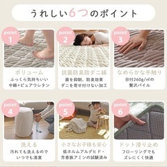 【調整中】
洗えるカーペット 190×240 3畳 ふかふか の画像