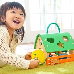 あそびのおうち エドインター 型はめおもちゃ　形あわせ はめこみ ドールハウスの画像