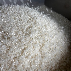 R7年元気つくし 農家直送の新米の画像