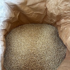 R7年元気つくし 農家直送の新米の画像