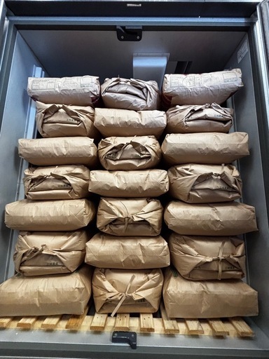 R7年元気つくし 農家直送の新米