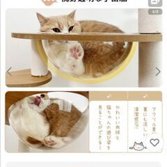 シニア、仔猫向けキャットタワーの画像