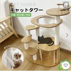 シニア、仔猫向けキャットタワーの画像