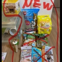 ハムスター飼育セット➕おまけ❓　　　　　 の画像