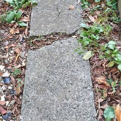 逗子 無料あげます 石畳み 飛び石 石材 ブロック ブリックレンガ ガーデニング 瓦 かわら 天然石 加工 石碑 庭 境界 路 庭園 装飾品 花瓶 置物 ストーンプレート 台座 粘板岩 板状 加工 スクエア 門扉 フェンス エクステリア 床 水回り 建築材料 BBQ キャンプ 天板 壁 石肌 生け花 玄関 床材 外壁 内壁 舗装の画像