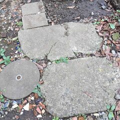 逗子 無料あげます 石畳み 飛び石 石材 ブロック ブリックレンガ ガーデニング 瓦 かわら 天然石 加工 石碑 庭 境界 路 庭園 装飾品 花瓶 置物 ストーンプレート 台座 粘板岩 板状 加工 スクエア 門扉 フェンス エクステリア 床 水回り 建築材料 BBQ キャンプ 天板 壁 石肌 生け花 玄関 床材 外壁 内壁 舗装の画像