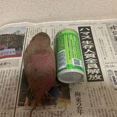 さつまいもの画像