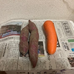 さつまいもの画像