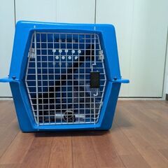 航空輸送用のケ−ジをあげますの画像