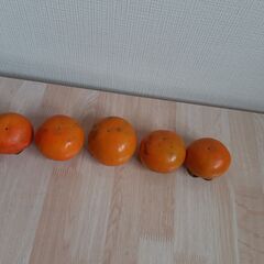 もぎたて　甘柿　産地直送　兵庫県産　20個の画像