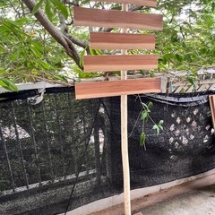 ビーチ看板の画像