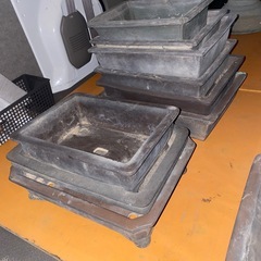 盆栽鉢　　13個まとめ　名入りありの画像