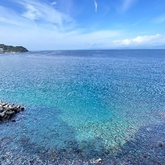 【横浜発】スキンダイビング・シュノーケル仲間募集