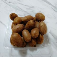 (産地直送)無農薬　もぎたて、果物 キウイフルーツ、フルーツ、グリーンキゥイの画像