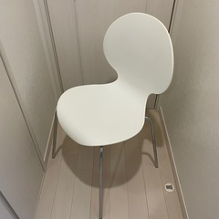 GALVANO TECNICA ガルバノテクニカ イタリア製チェア2/2　Francfrancの画像