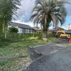 小屋解体、伐採などご相談から☺️ − 鹿児島県